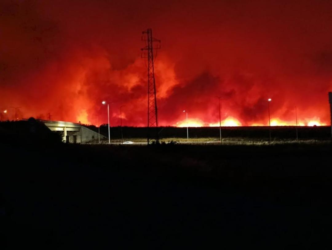 Birçok ilde orman yangınları! Tekidarğ da alevler yerleşim yerlerine sıçradı, tahliyeler başladı! Edirne, Çanakkale, Sakarya, Konya, Manisa... 2
