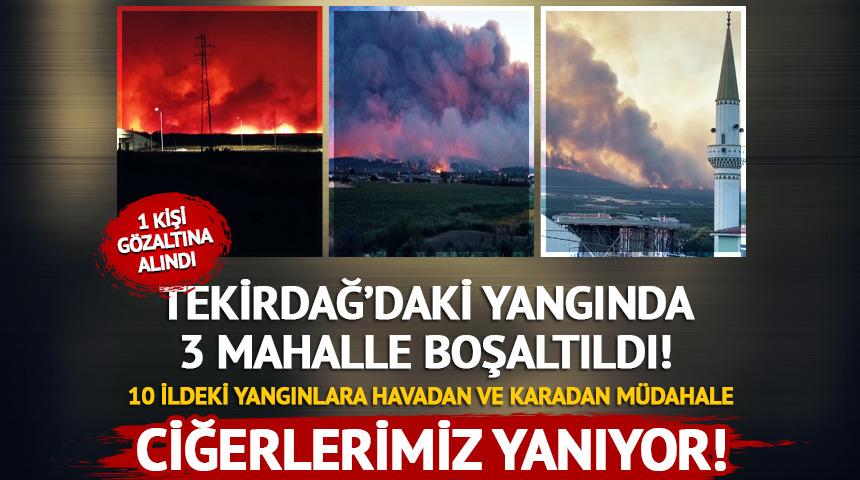 Birçok il orman yangınlarıyla boğuşuyor! İşte son durum