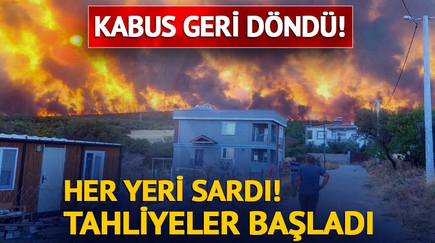 Alevler büyüyor... Köyler boşaltıldı, bir kişi gözaltına alındı