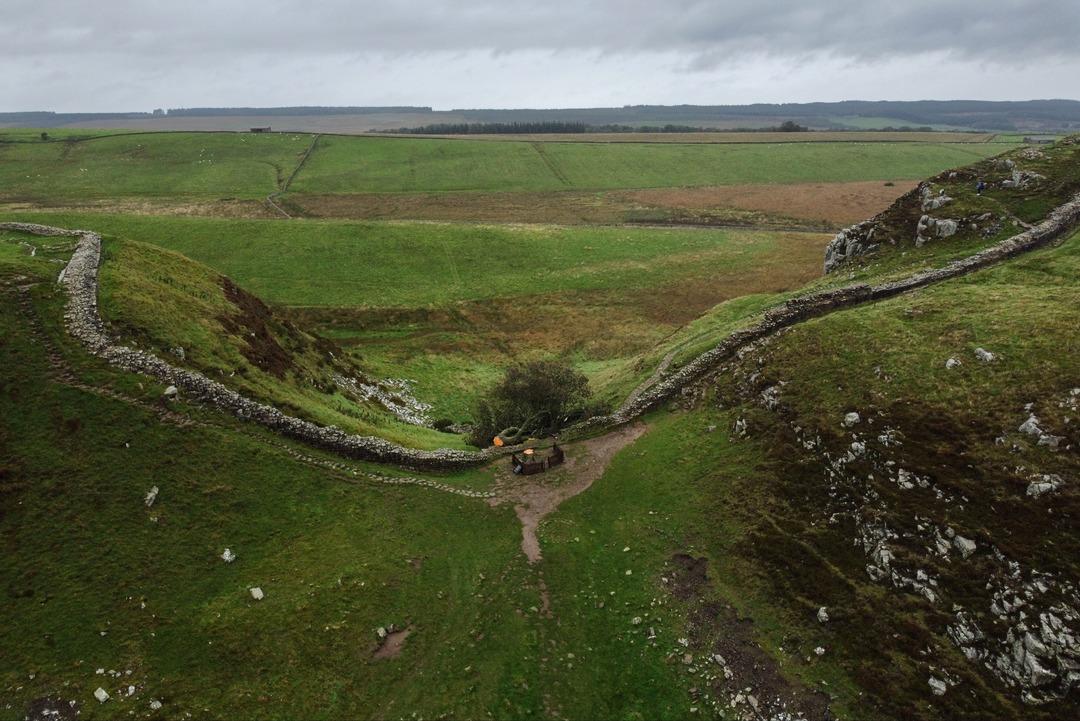  200 yıllık tarihi silmişlerdi!   Sycamore Gap  davasında karar çıktı 2