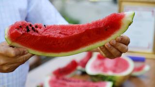 Sosyal medyada tartışma konusu oldu: En lezzetli karpuz nerede yetişiyor?