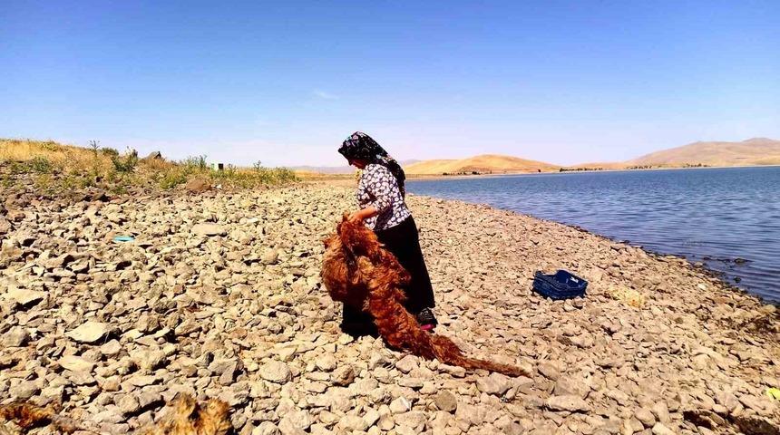 Ağrı’da asırlardır süregelen gelenek: Patnoslu kadınlar, çeyizlik yünleri yıkama mesaisine başladı