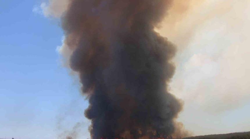 Tekirdağ’da başlayarak Çanakkale’ye ulaşan yangın yeniden alevlendi