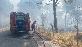 Anız yangını ormana sıçradı, 16 hektar kül oldu