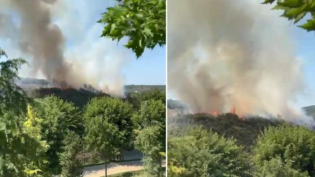 Sultangazi Kent Ormanı'nda korkutan yangın! Ekipler sevk edildi | Flaş Gelişme