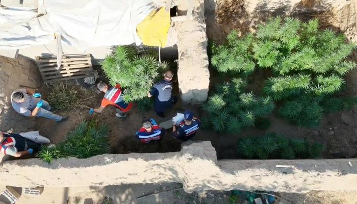 20610839-700x400 Aksaray'da dron destekli uyuşturucu operasyonu: 1 tutuklama