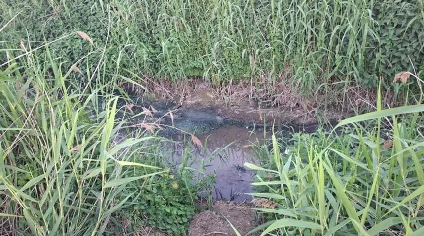 Mahalleli isyan ediyor! Yazın cam açamayıp nefes bile alamıyorlar! Nedeni ise...