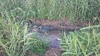 Mahalleli isyan ediyor! Yazın cam açamayıp nefes bile alamıyorlar! Nedeni ise...