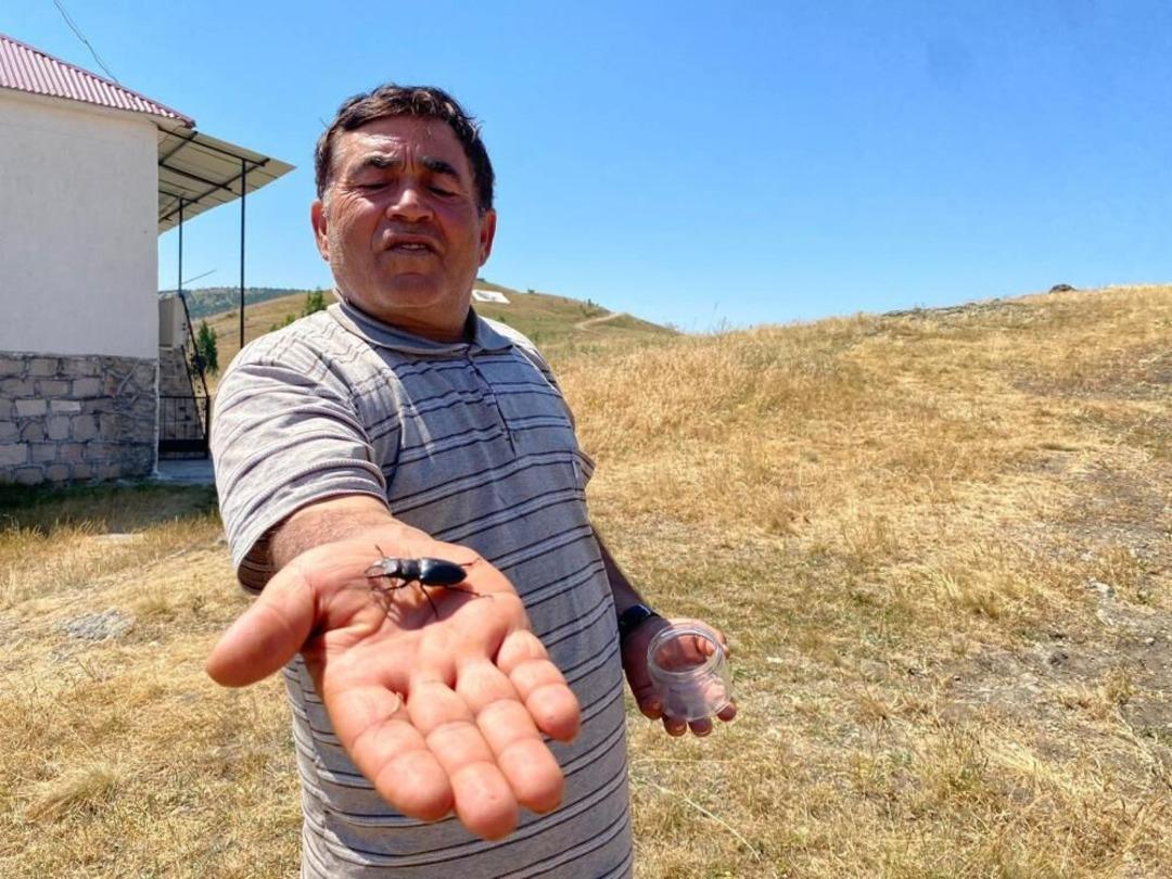 Nesli tükenme tehlikesi altında! Öldürmenin cezası 557 bin TL!  1
