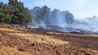 Kocaeli'de tarım arazisinde çıkan yangın ormanlık alana sıçramadan söndürüldü