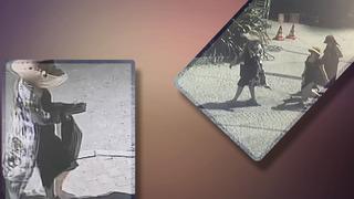 İstanbul'un göbeğinde akılalmaz soygun! Tatilci gibi gelip ünlü profesörün evinde yarım milyonluk vurgun yaptılar