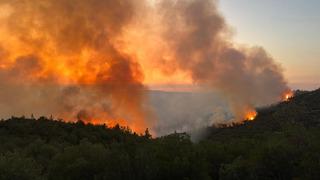 Alevlerle mücadele sürüyor! 2 ilde 5 mahalle boşaltıldı... Bin 320 kişi tahliye edildi