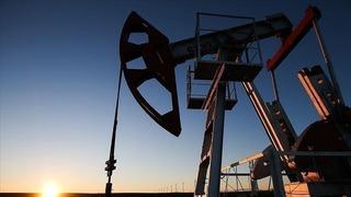 ABD'nin ticari ham petrol stokları 3,9 milyon varil azaldı