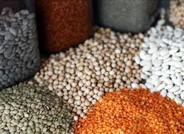 Güneydoğu'nun hububat ihracatı yılın ilk yarısında yüzde 8,7 arttı