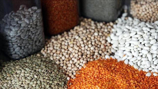 Güneydoğu'nun hububat ihracatı yılın ilk yarısında yüzde 8,7 arttı