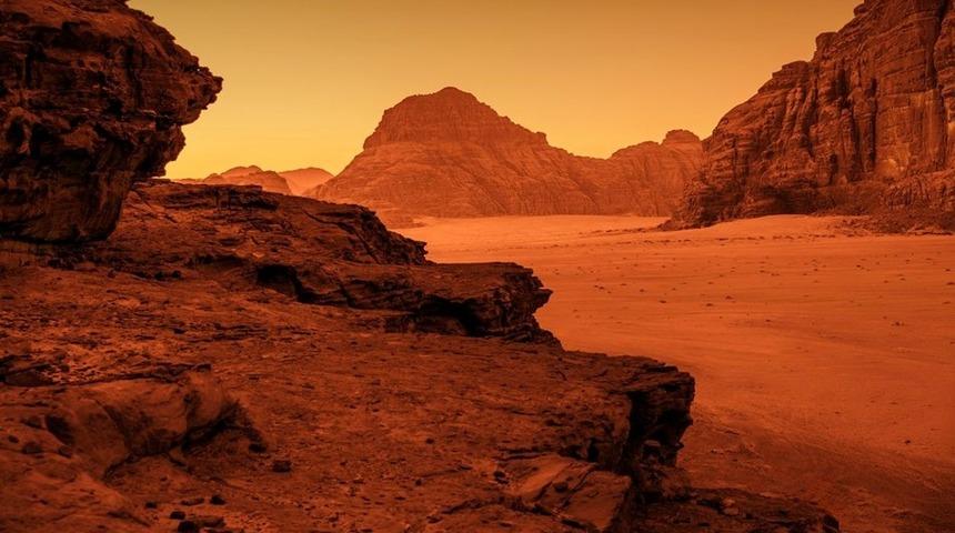 Mars'tan düşen en büyük göktaşı rekor fiyata satıldı! 225 milyon kilometre yol gelmişti...