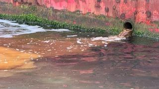 Marmara’yı kirleten tersaneye 3.7 milyon lira ceza