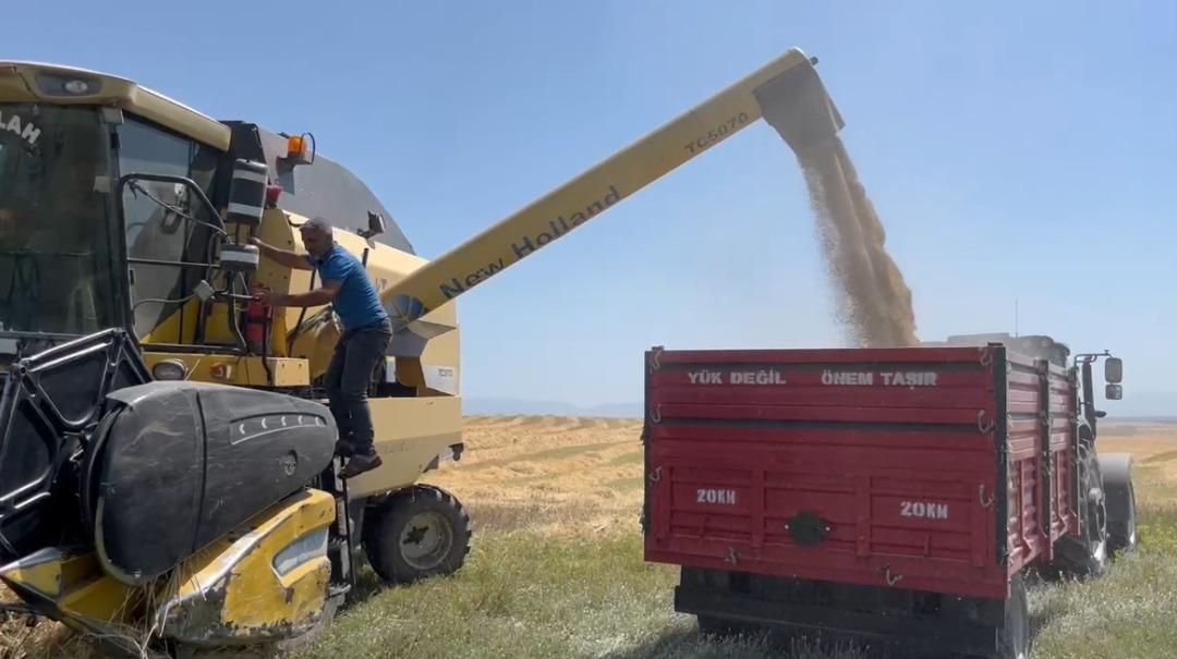 Tarladan fışkırdı!  Yapma, etme  dediler ama... 11 ton çıktı, beklentilerin çok ötesinde 2