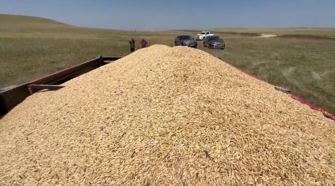Tarladan fışkırdı!  Yapma, etme  dediler ama... 11 ton çıktı, beklentilerin çok ötesinde 3