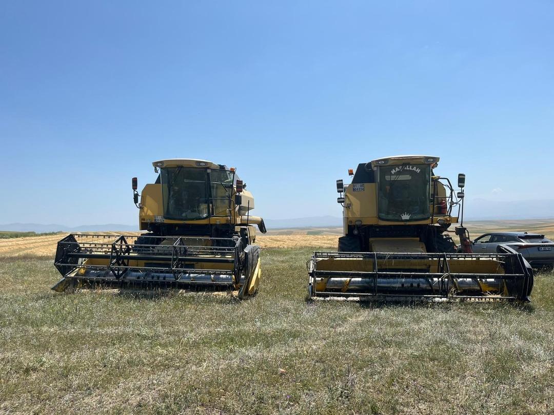Tarladan fışkırdı!  Yapma, etme  dediler ama... 11 ton çıktı, beklentilerin çok ötesinde 6