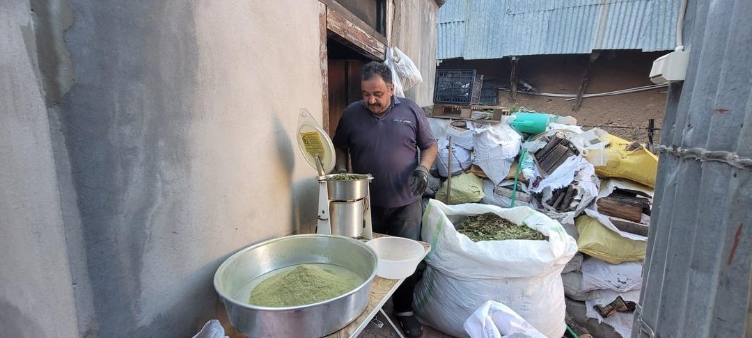 120 çeşit bitki karıştırılıyor, yapan çok az! O şehirde meşhur 1
