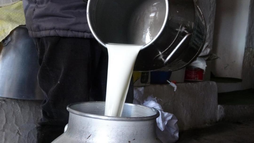 Çiğ süt fiyatı belli oldu! 1 Ağustos tarihinde geçerli olacak 1