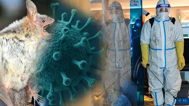 Çin'de yarasadan gelen yeni virüs alarmı mı var? ‘Henipavirus’ gerçekten tehdit mi? Uzmandan önemli açıklamalar...