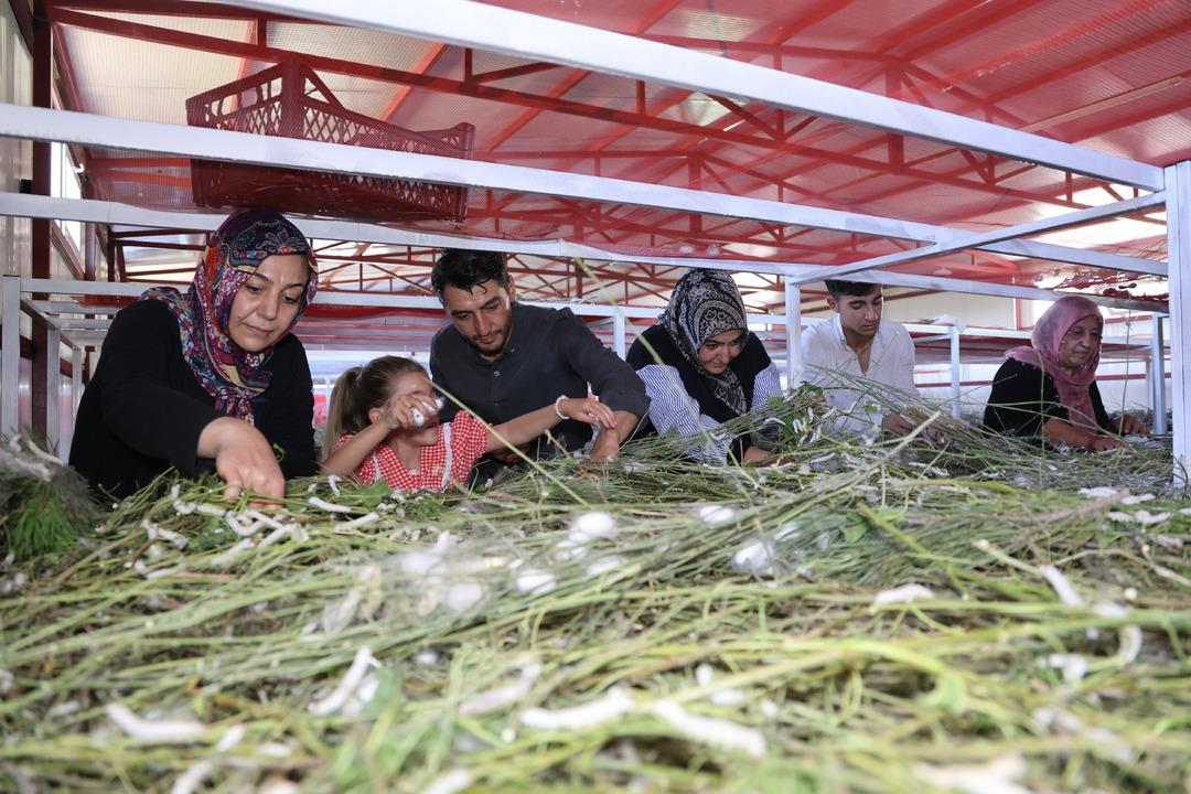  Pazar sıkıntısı yok  7 den 70 e herkese tavsiye etti  Kar yükseliyor  3