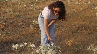 Yer: Samsun! Bütün sahile yayıldı! Koparmanın cezası ise 387 bin lira...