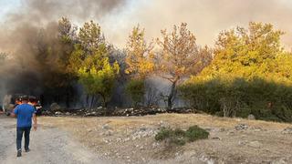 Çanakkale'de park halindeki midibüste çıkan yangın ormana sıçradı