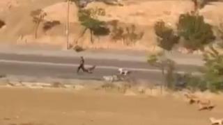 Ankara'da bir genç, başıboş köpeklerin saldırısından son anda kurtuldu