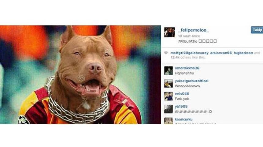 Melo'dan olay fotoğraf!