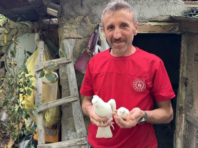 Tavuk yumurtasının üzerine kuluçkaya yatan güvercin, çıkan civcivi sahiplendi