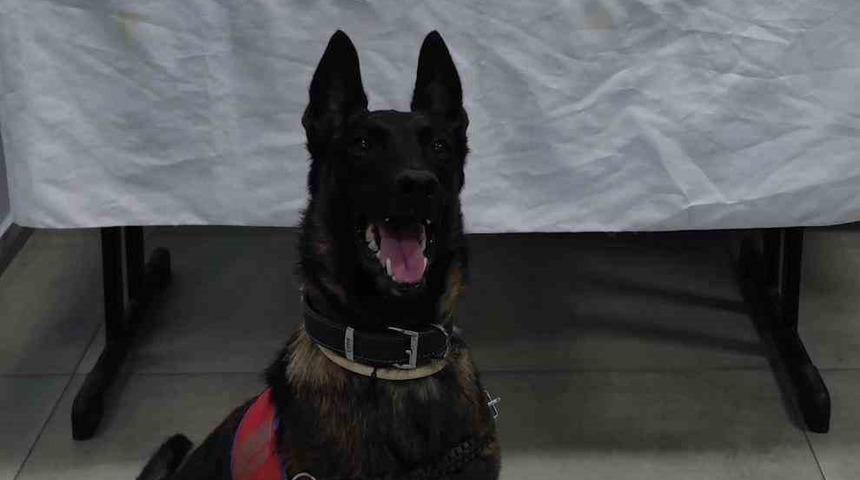 Germencik’te durdurulan araçta uyuşturucu ele geçirildi