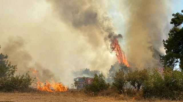 Çanakkale'de orman yangını çıktı