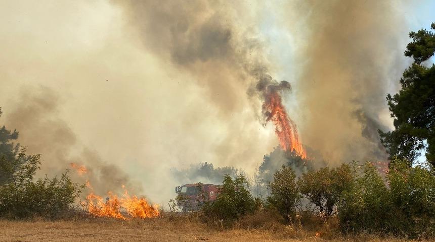 Çanakkale'de orman yangını çıktı