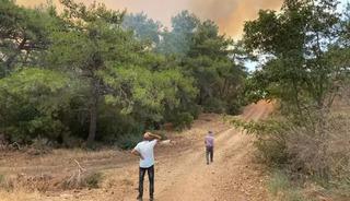 Çanakkale'nin Ezine ilçesinde orman yangını! 