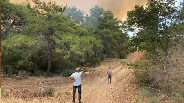 Çanakkale'nin Ezine ilçesinde orman yangını! Ekiplerin müdahalesiyle söndürüldü