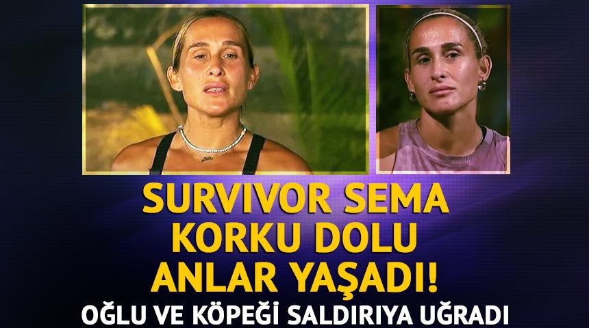 Korku dolu anlar yaşadı! Oğlu ve köpeği saldırıya uğradı