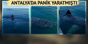 Reyting uğruna bunu da yapmışlar!