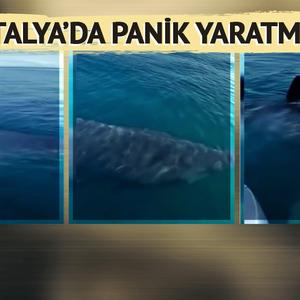 Son Dakika Haber Görseli