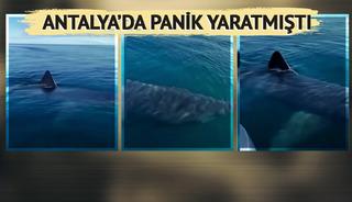 Reyting uğruna bunu da yapmışlar!