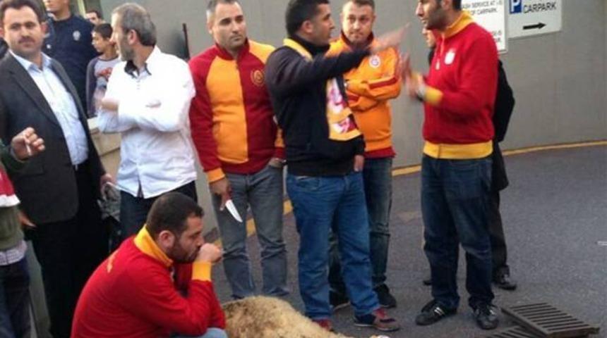 Otel &ccedil;ıkışı kurban kestiler!