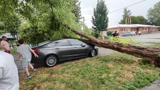 Çivril’de fırtına 15 metrelik ağacı devirdi