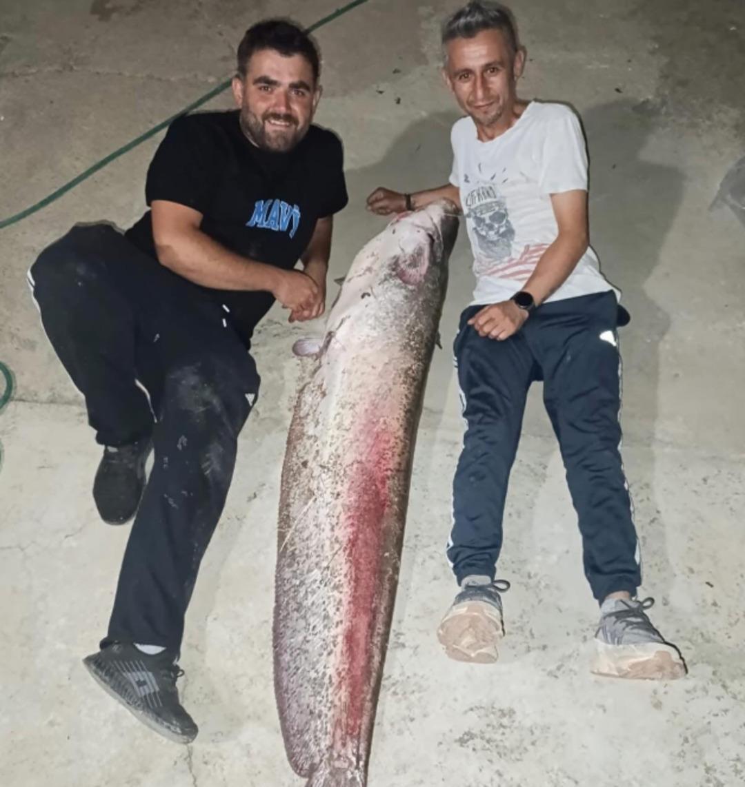 Yer: Sakarya! Amatör balıkçılar yakaladı! Ender görülen bir durum... 1