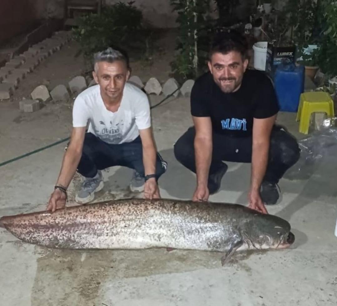 Yer: Sakarya! Amatör balıkçılar yakaladı! Ender görülen bir durum... 2