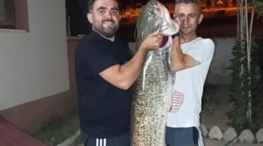 Yer: Sakarya! Amatör balıkçılar yakaladı! Ender görülen bir durum...