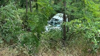 3 kişinin yaralandığı kazada otomobildeki kediyi de sağlıkçılar kurtardı