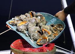 6 ayda 4,5 milyon dolar kazandırdı! 'Türkiye'de tüketilmiyor'