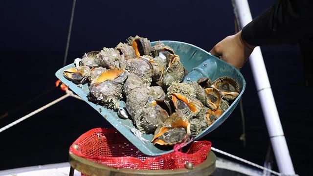 6 ayda 4,5 milyon dolar kazandırdı! 'Türkiye'de tüketilmiyor'